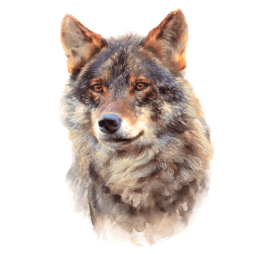 Laminas de cuadros lienzo M. Sosa -